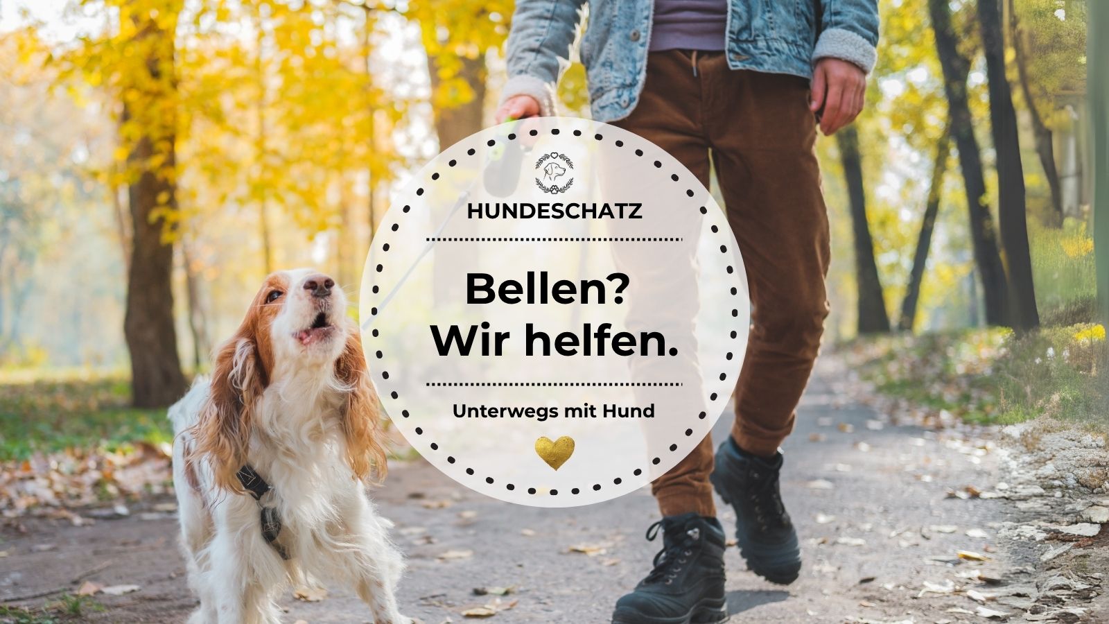 Ein Hund bellt an der Leine während des Spaziergangs – Alltagssituation mit Trainingsbedarf.