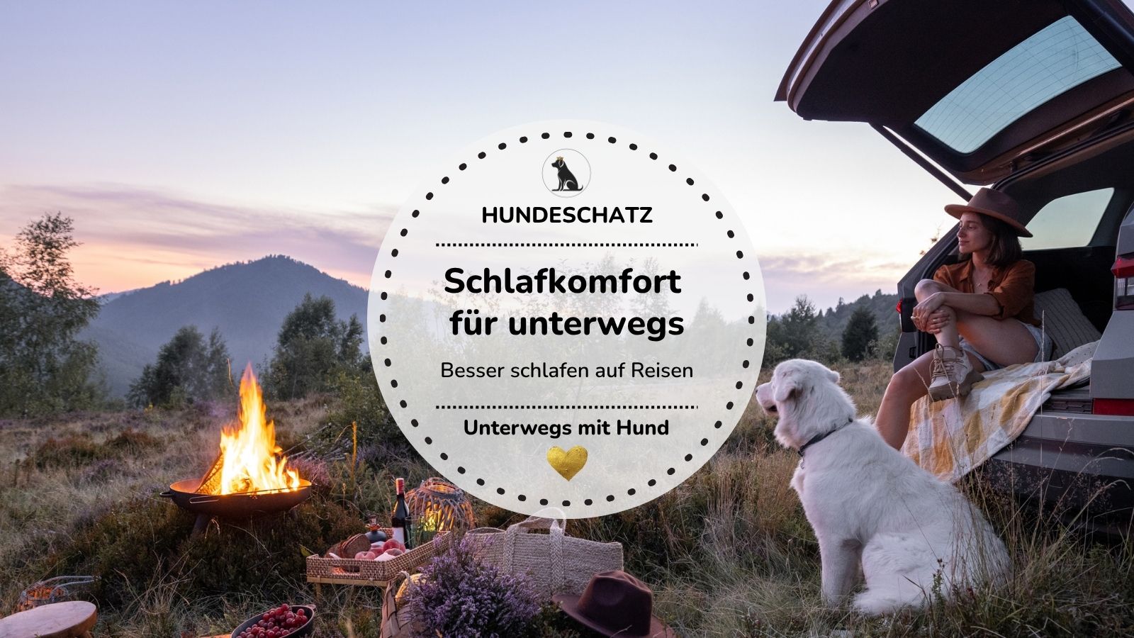 Camping mit Hund: So schläft dein Vierbeiner draußen sicher & bequem