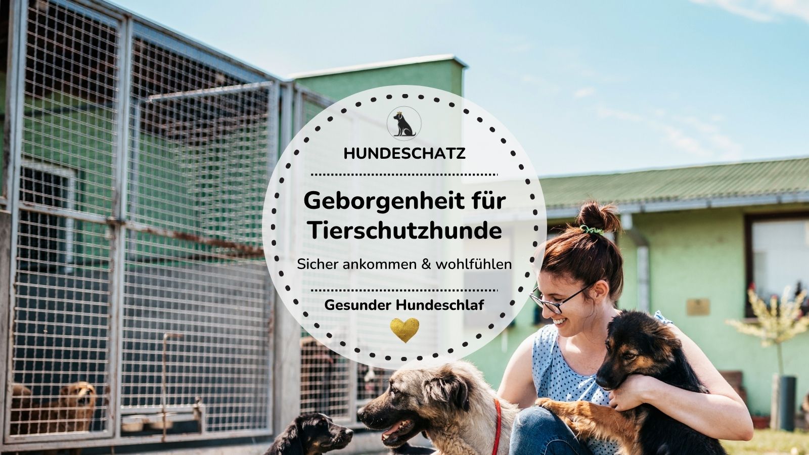 Frau kuschelt mit mehreren Tierschutzhunden vor einem Tierheim – Tipps für Geborgenheit & das richtige Hundebett für Tierschutzhunde | HUNDESCHATZ