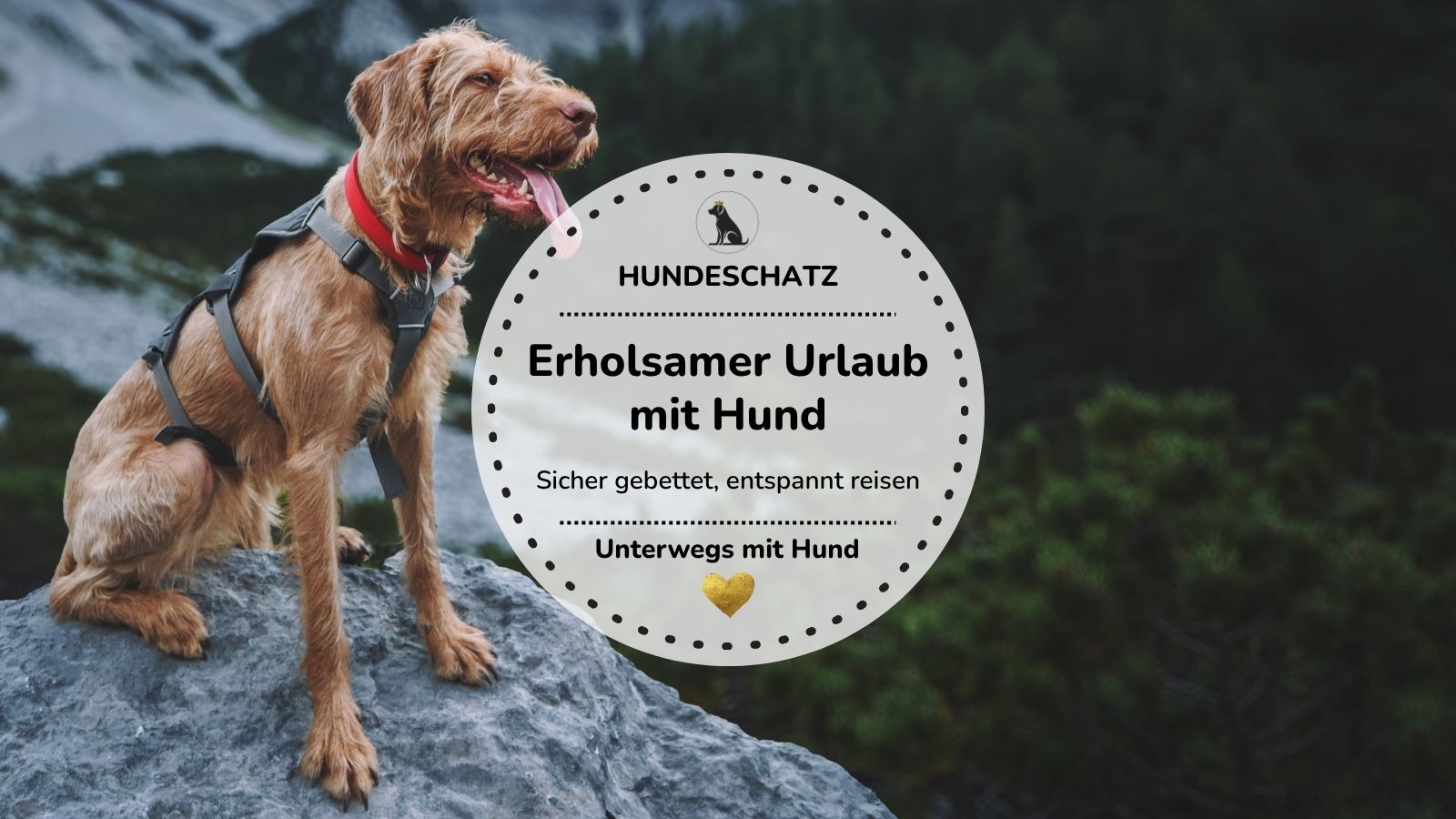 Urlaub mit Hund: Erholsamer Schlaf auf Reisen beginnt mit dem richtigen Hundebett