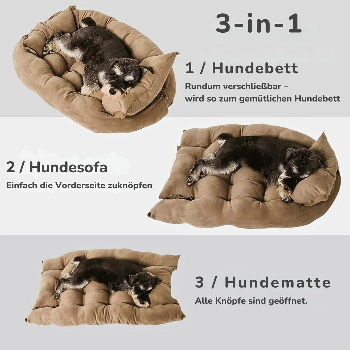 3-in-1 Hundebett mit hohem Rand – als Bett, Sofa und Hundematte nutzbar, kleiner Hund auf beigem Modell, waschbar, HUNDESCHATZ