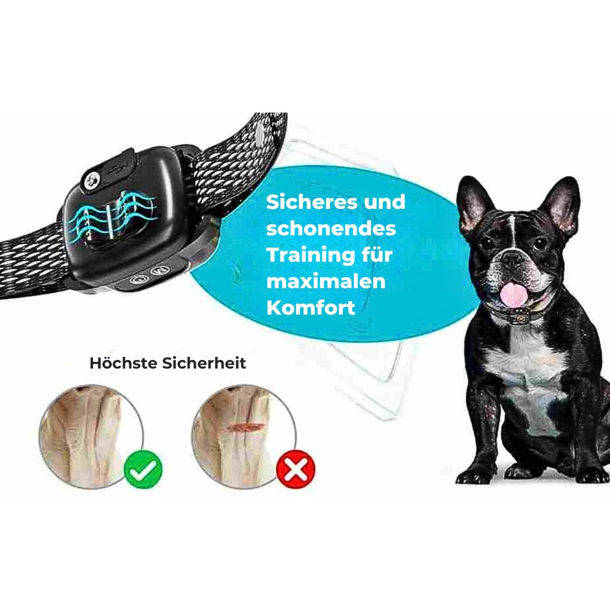 Das Antibellhalsband sorgt für höchste Sicherheit. Sicheres und schonendes Training für maximalen Komfort.