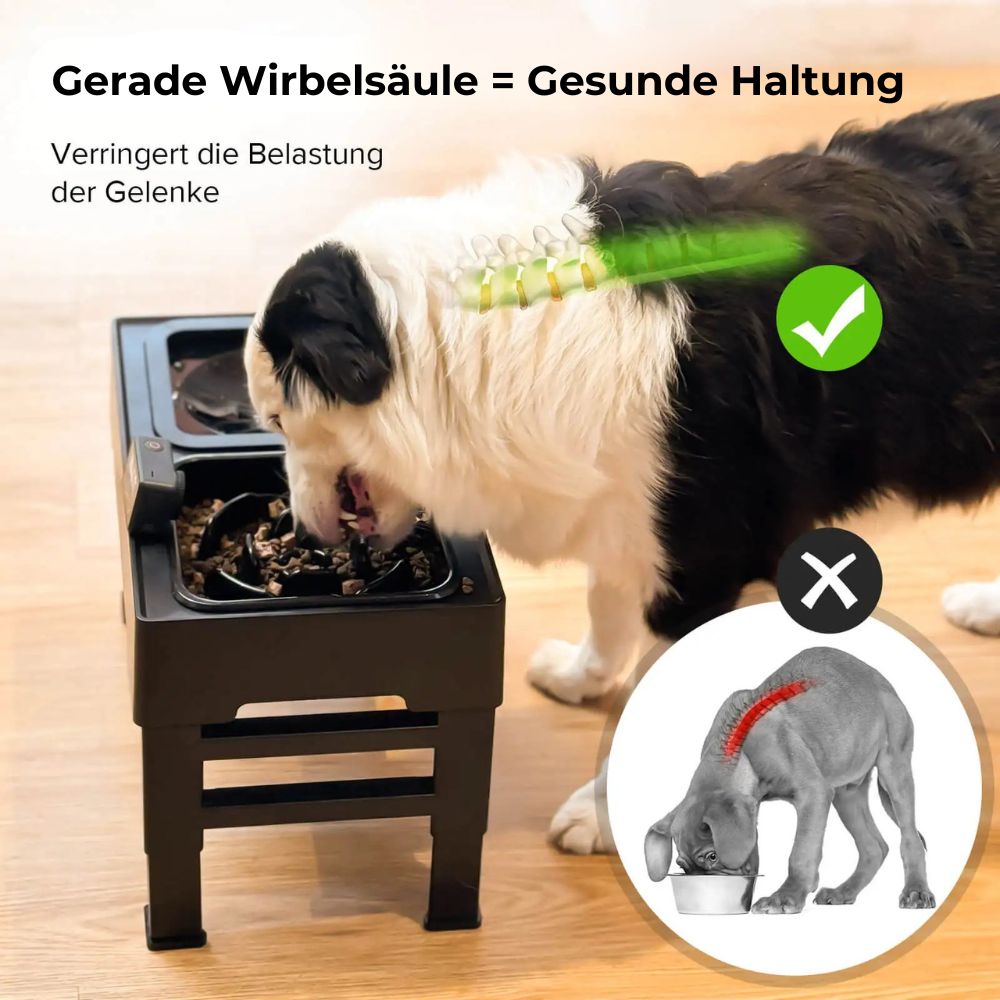 Der höhenverstellbare Anti-Schling Napf "AmiCura" – HUNDESCHATZ™ sorgt für eine ergonomische Fresshaltung und entlastet die Wirbelsäule sowie die Gelenke des Hundes. Ideal zur Förderung einer gesunden Körperhaltung.