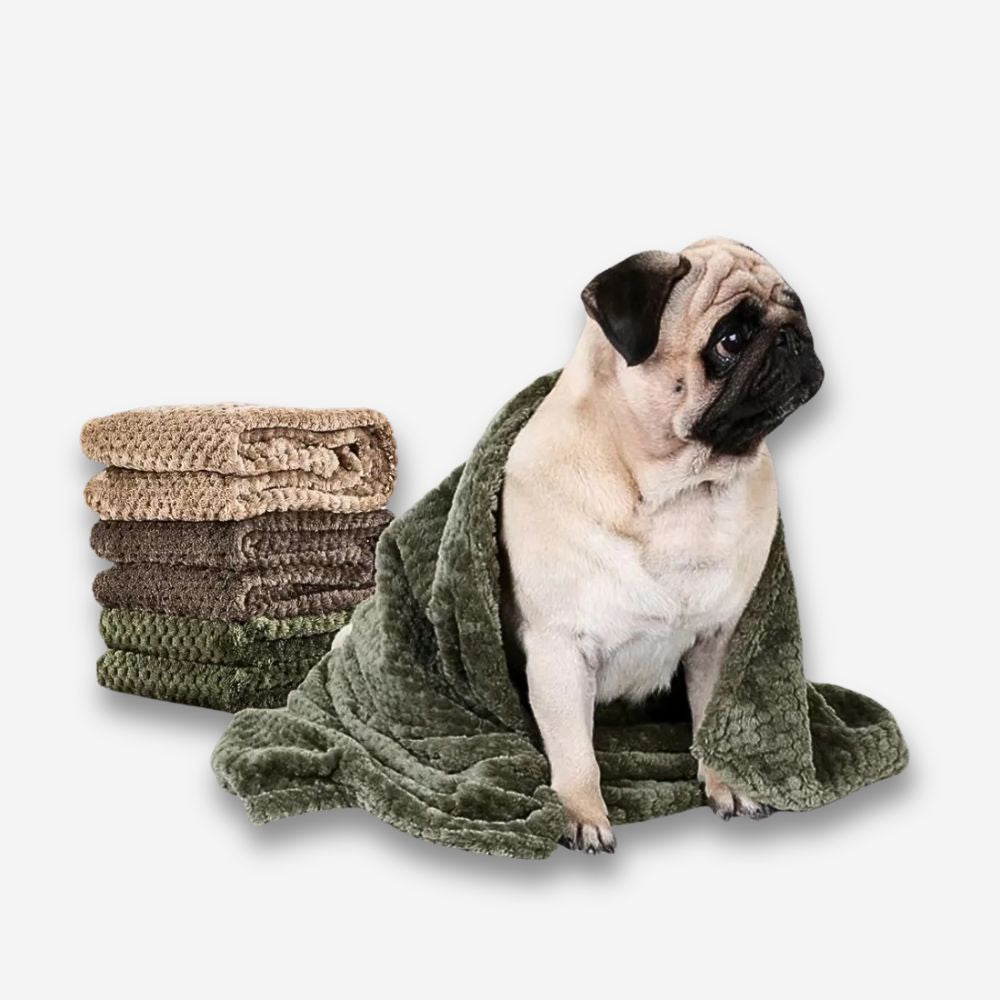 Kuschelige, hochwertige Hundedecke als Hundeteppich – Mops eingewickelt in weicher Decke, verschiedene Farben im Hintergrund.