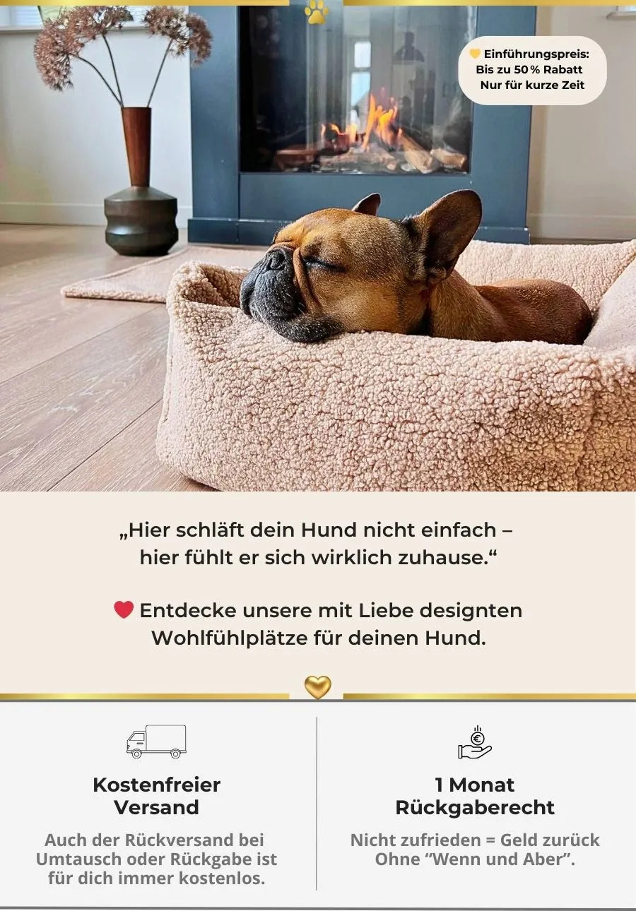 Hund entspannt im Premium Hundebett vor Kamin – Wohlfühlplatz für gesunden Hundeschlaf bei HUNDESCHATZ