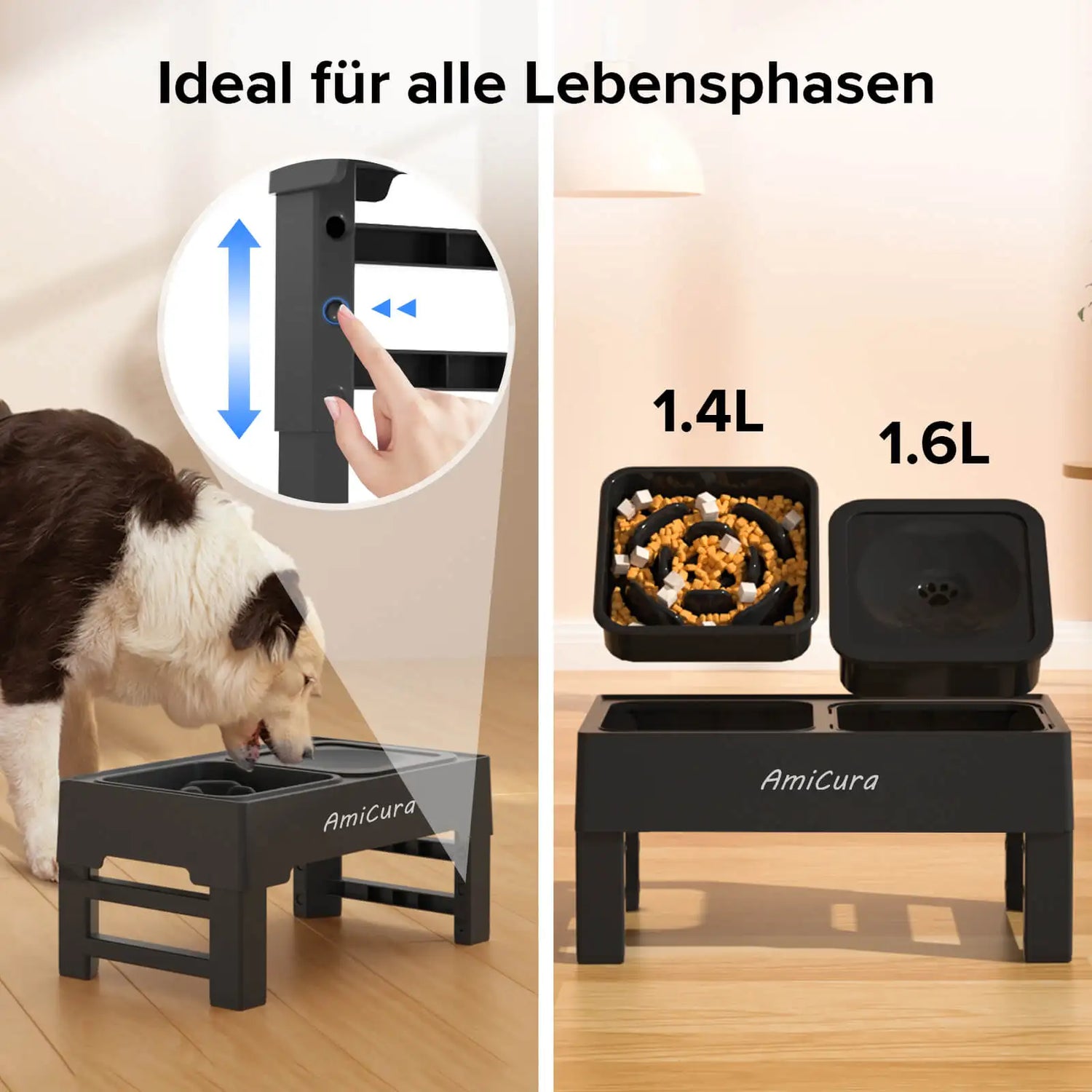 Der höhenverstellbare Anti-Schling Napf "AmiCura" – HUNDESCHATZ™ passt sich jeder Lebensphase deines Hundes an. Mit einem Fassungsvermögen von 1,4L für Futter und 1,6L für Wasser sorgt er für gesunde Mahlzeiten und eine bequeme Haltung.