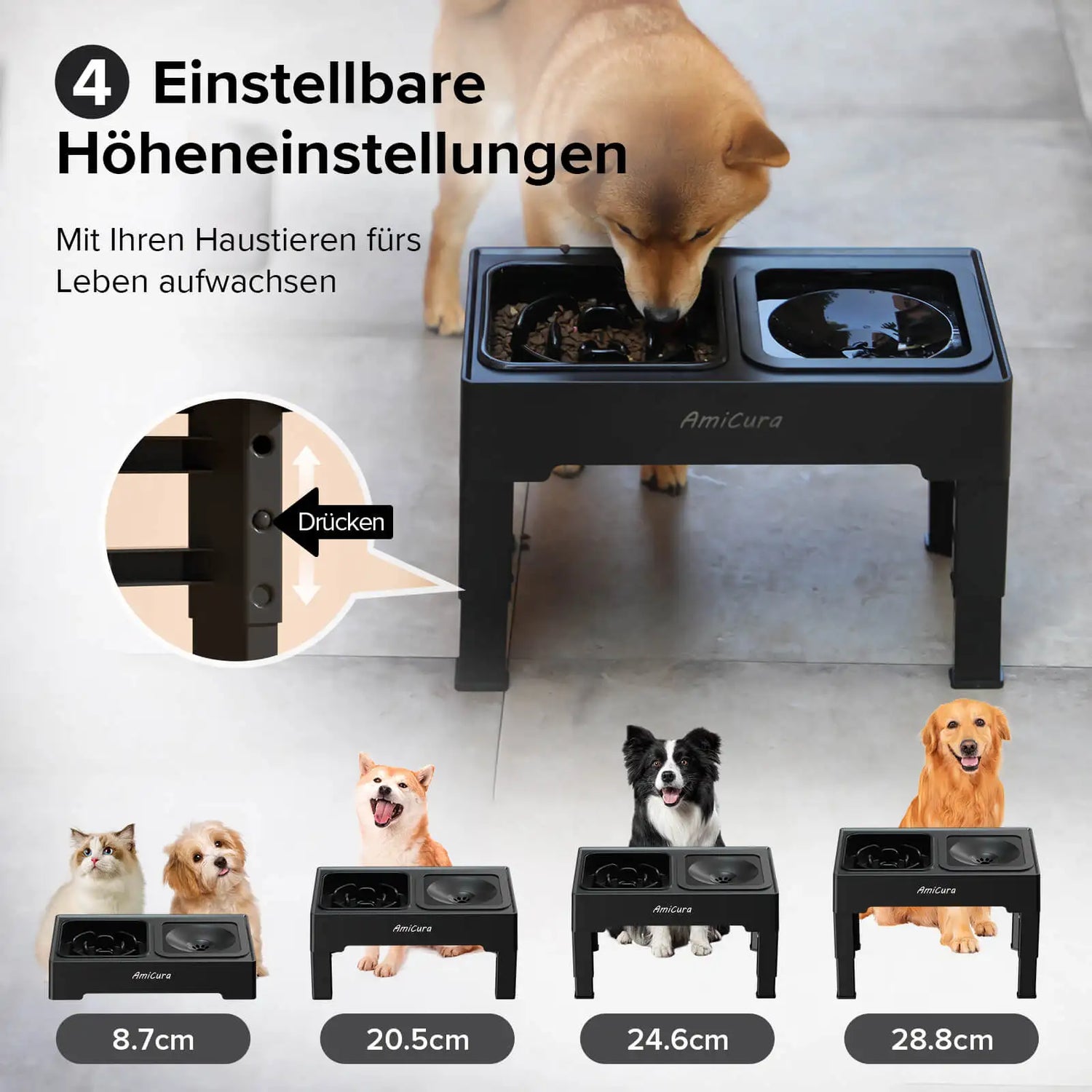 Höhenverstellbarer Anti-Schling Napf "AmiCura" – HUNDESCHATZ™. Der Napf passt sich mit vier Höhenstufen (8,7 cm, 20,5 cm, 24,6 cm, 28,8 cm) an das Wachstum des Hundes an und unterstützt eine gesunde Haltung beim Fressen.