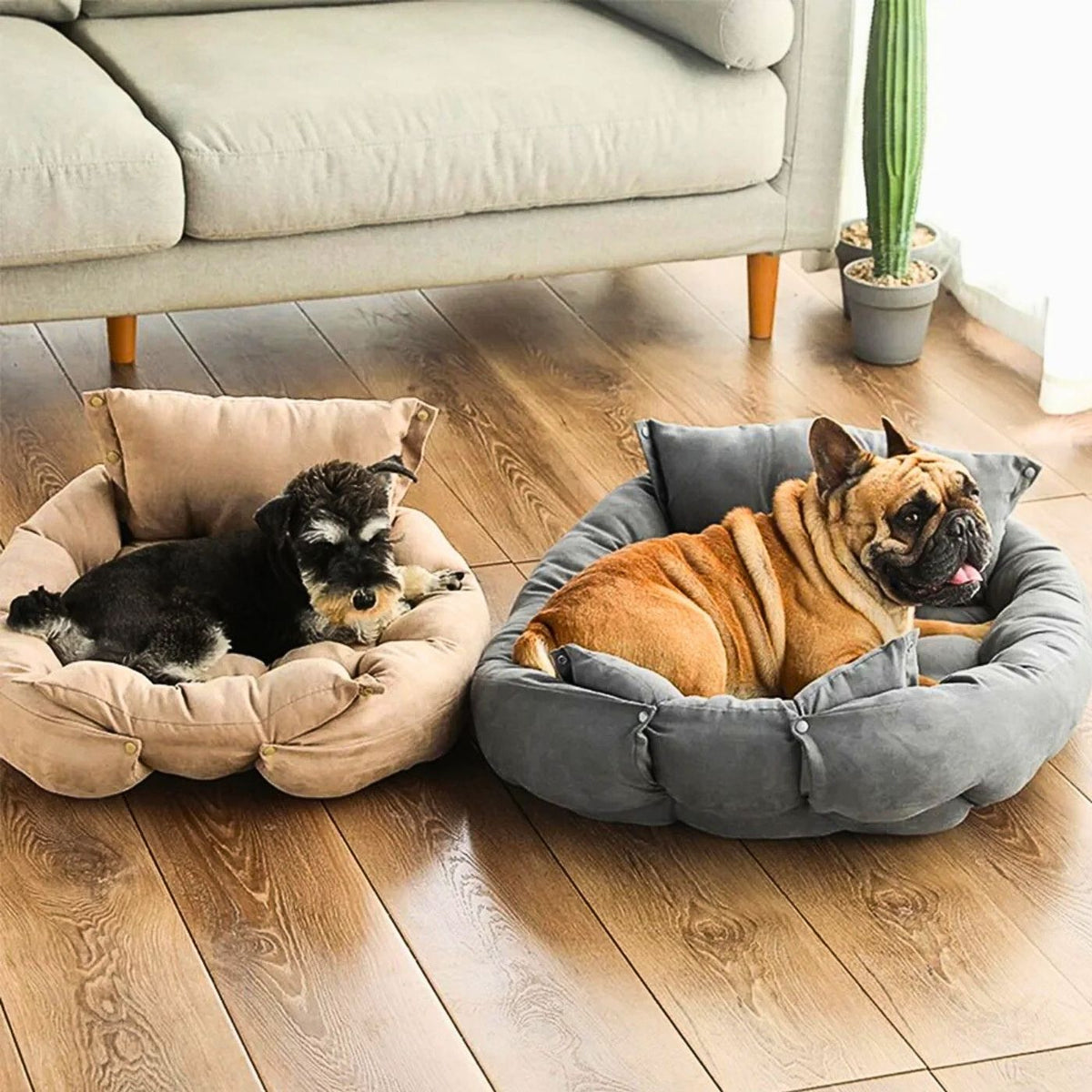 Hundebett mit hohem Rand in Grau und Beige – waschbar, weich gepolstert, ideal für kleine bis mittelgroße Hunde wie Französische Bulldogge, HUNDESCHATZ