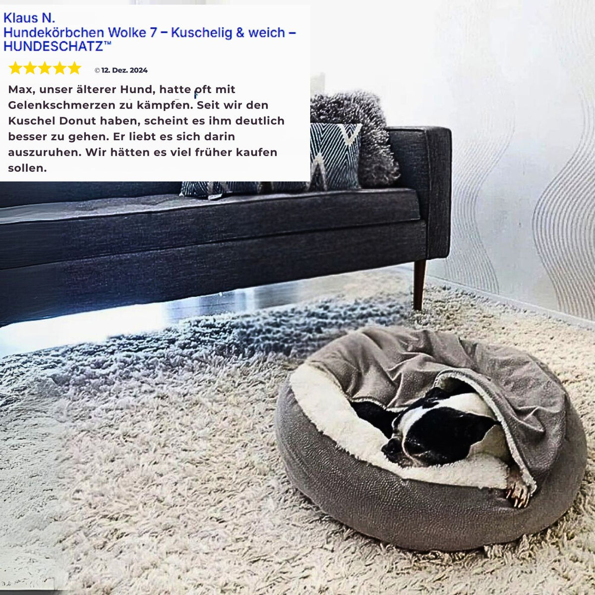 Kundenbewertung zur beruhigenden Hundehöhle von HUNDESCHATZ – älterer Hund entspannt im kuscheligen Hundebett, lindert Gelenkschmerzen und fördert erholsamen Schlaf. Ideal bei  ängstlichen Hunden.