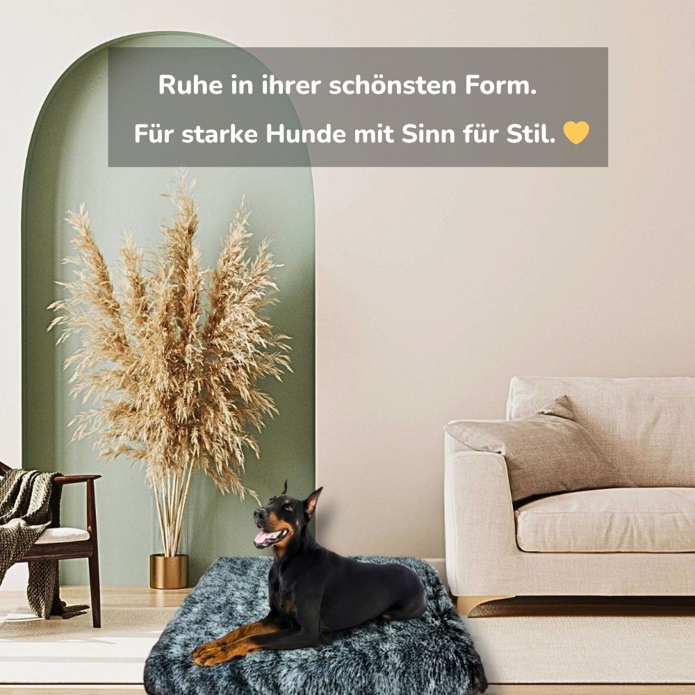 Großer Hund liegt entspannt auf stilvoller Premium Hundematte – elegantes Design und Komfort für Ruhe und Geborgenheit im Wohnzimmer | HUNDESCHATZ