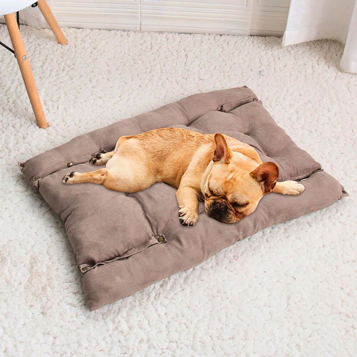 Waschbare Hundematte in Beige – ideal als flacher Hundeschlafplatz für mittlere Hunde wie Französische Bulldogge, Teil des 3-in-1 Hundebetts, HUNDESCHATZ