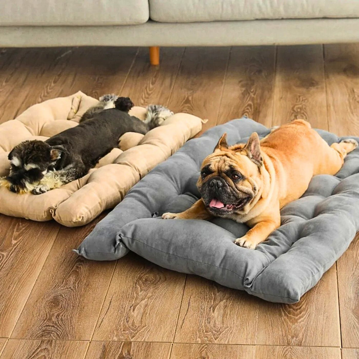 Waschbare Hundematte in Grau und Beige als offene Liegefläche – Teil des 3-in-1 Hundebetts mit hohem Rand, ideal für kleine & mittlere Hunde, HUNDESCHATZ
