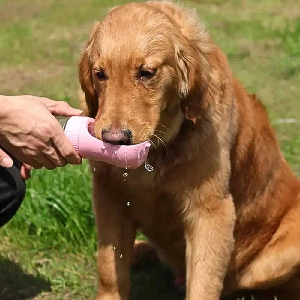 Hunde trinkt aus der Hundetrinkflasche mit Futterbehälter von HUNDESCHATZ™ – auslaufsicheres Design mit Einhand-Bedienung und Sicherheitsverschluss für einfaches Trinken unterwegs.