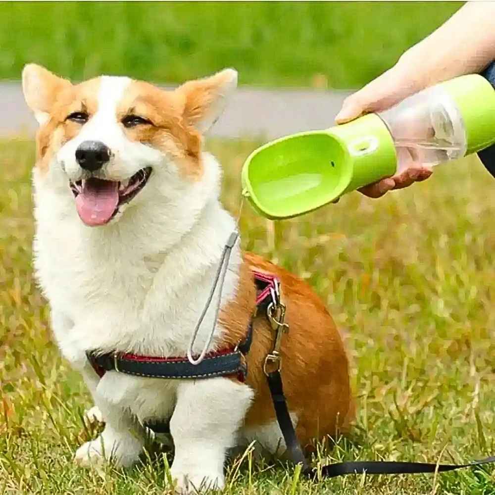 Ein Hund bekommt Wasser aus der Hundetrinkflasche mit Futterbehälter von HUNDESCHATZ™ – ideal für Spaziergänge und Reisen. Praktisches Design mit integriertem Napf für einfaches Trinken unterwegs.