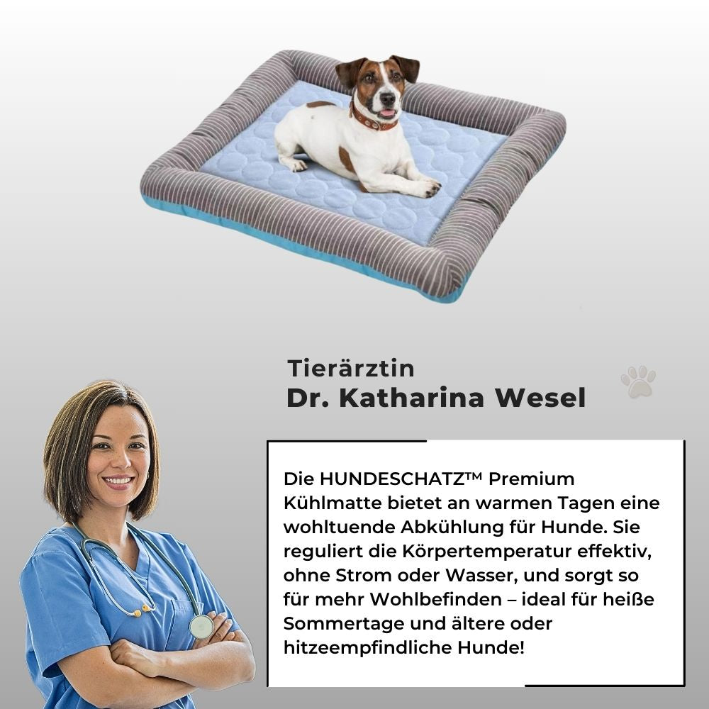Tierärztin Dr. Katharina Wesel empfiehlt die HUNDESCHATZ Premium Kühlmatte – kühlt Hunde an heißen Sommertagen, reguliert Körpertemperatur ohne Strom oder Wasser, ideal für ältere und hitzeempfindliche Hunde