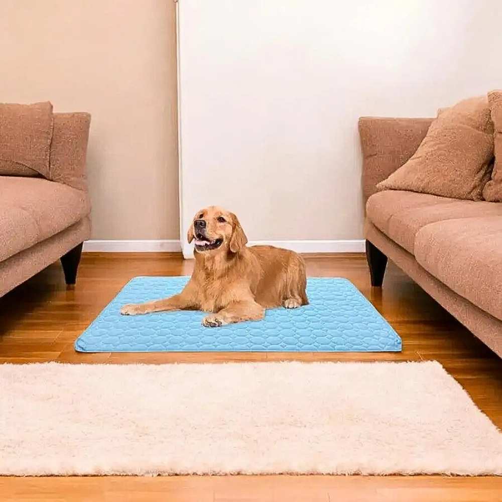 Ein glücklicher Golden Retriever liegt entspannt auf der HUNDESCHATZ™ - PREMIUM KÜHLMATTE DogCool® V.2 in einem Wohnzimmer mit zwei Sofas. Die Matte sorgt für angenehme Kühlung und Liegekomfort.
