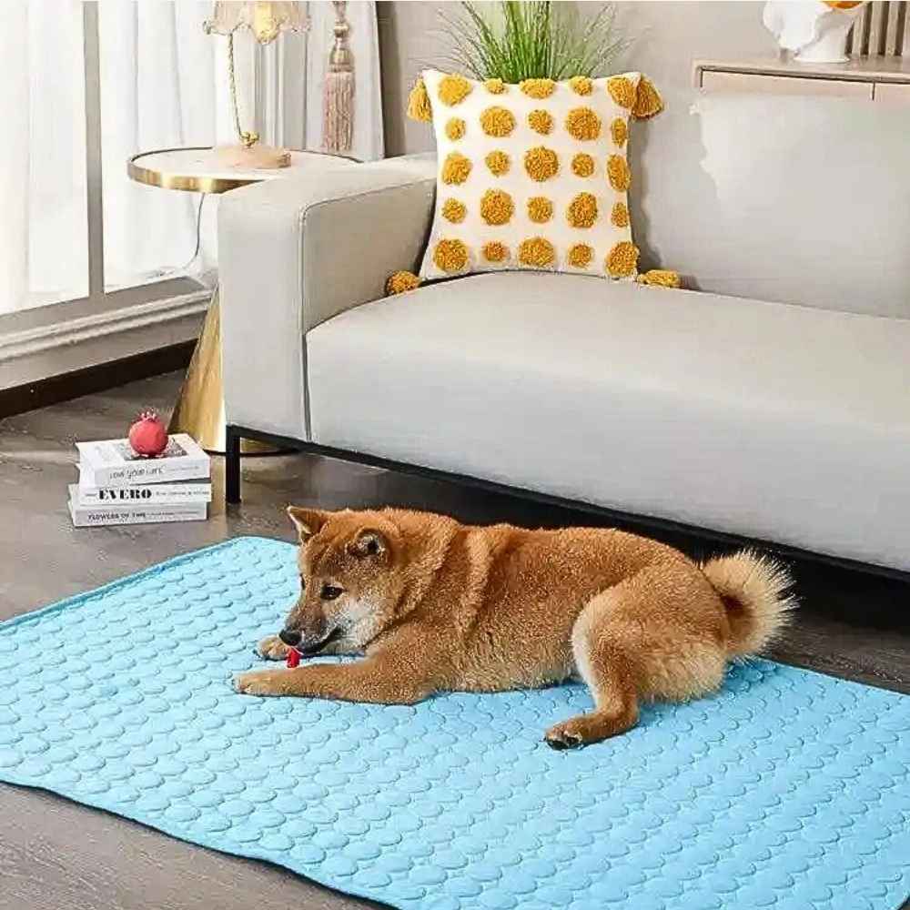 Ein brauner Hund liegt entspannt auf der HUNDESCHATZ™ - PREMIUM KÜHLMATTE DogCool® V.2 im Wohnzimmer. Die blaue Matte befindet sich vor einem stilvollen Sofa mit einem dekorativen Kissen im Hintergrund. Ideal für angenehme Kühlung an heißen Tagen.