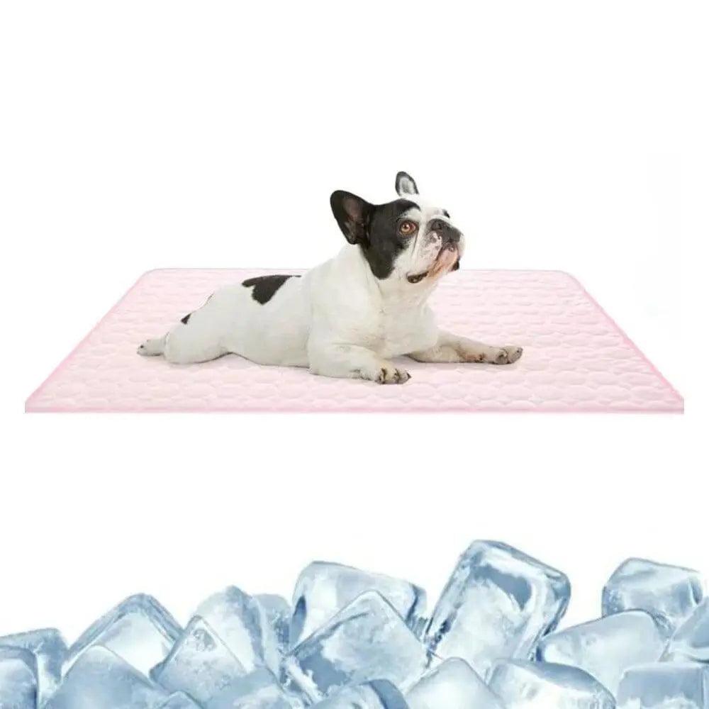 HUNDESCHATZ™ - PREMIUM KÜHLMATTE DogCool® V.2:
Ein Hund liegt entspannt auf der Kühlmatte. Vorteile der Matte:
Verhindert Dehydrierung
Spendet Kühlung
Hypoallergen
Bietet Liegekomfort
Im Hintergrund Eiswürfel und Farboptionen: Blau, Rosa, Grau.