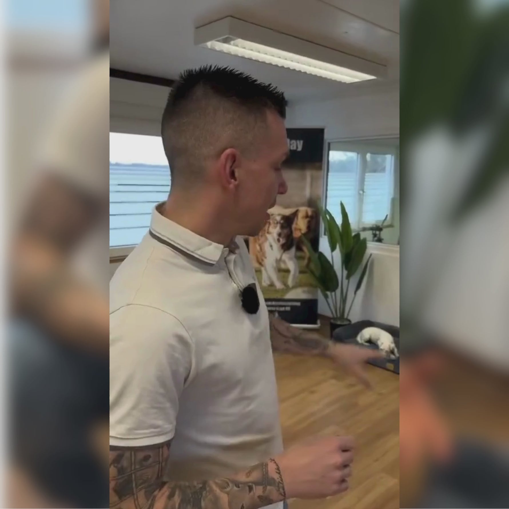 Experte erklärt Vorteile des orthopädischen Hundebetts von HUNDESCHATZ – gesunder Schlafplatz für Hunde im Test