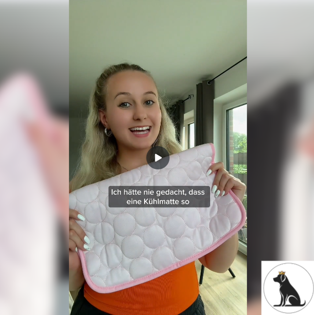 Produktvideo mit Erfahrungsbericht über die Kühlmatte DogCool V2 von HUNDESCHATZ