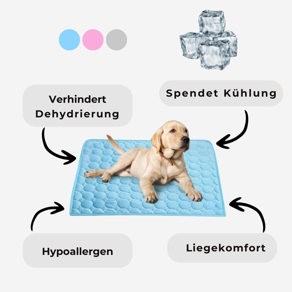 HUNDESCHATZ™ - PREMIUM KÜHLMATTE DogCool® V.2:
Ein Hund liegt entspannt auf der Kühlmatte. Vorteile der Matte:
Verhindert Dehydrierung
Spendet Kühlung
Hypoallergen
Bietet Liegekomfort
Im Hintergrund Eiswürfel und Farboptionen: Blau, Rosa, Grau.