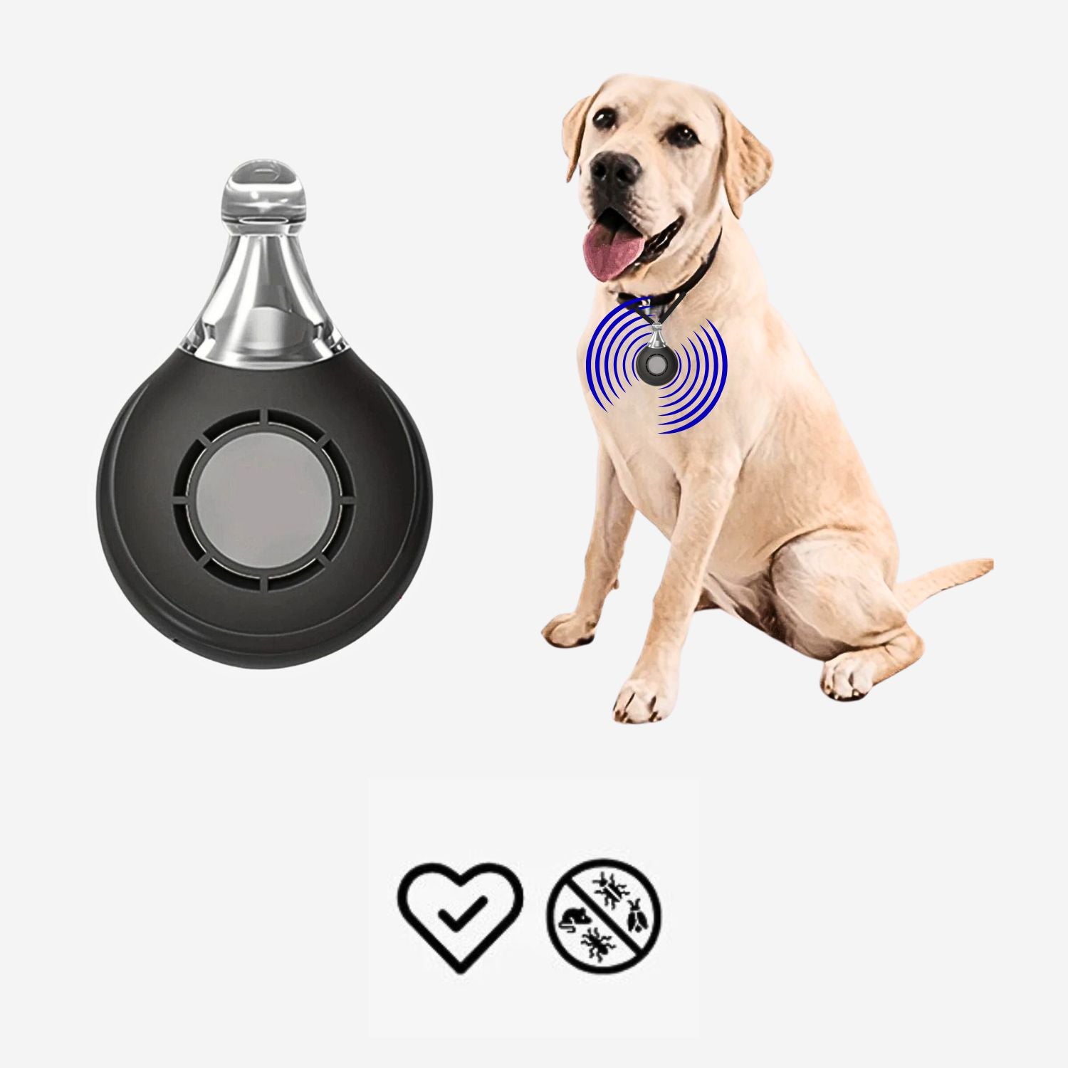 Hund trägt ein Zeckenhalsband mit Ultraschall – sicherer Schutz ganz ohne Chemie.