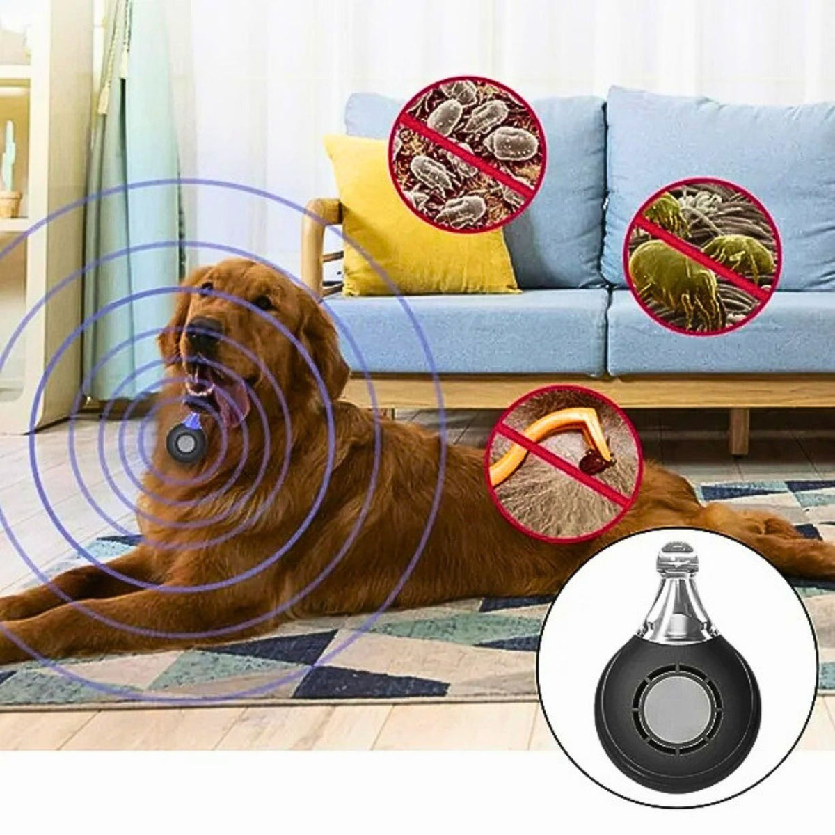 Rundumschutz vor Zecken, Flöhen und Milben – mit dem Zeckenhalsband für Hunde.