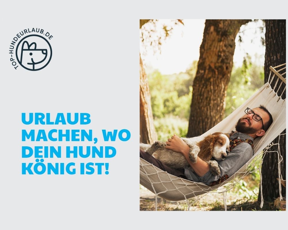Reisen & Urlaub mit Hund – so wird jede Reise entspannt & erholsam