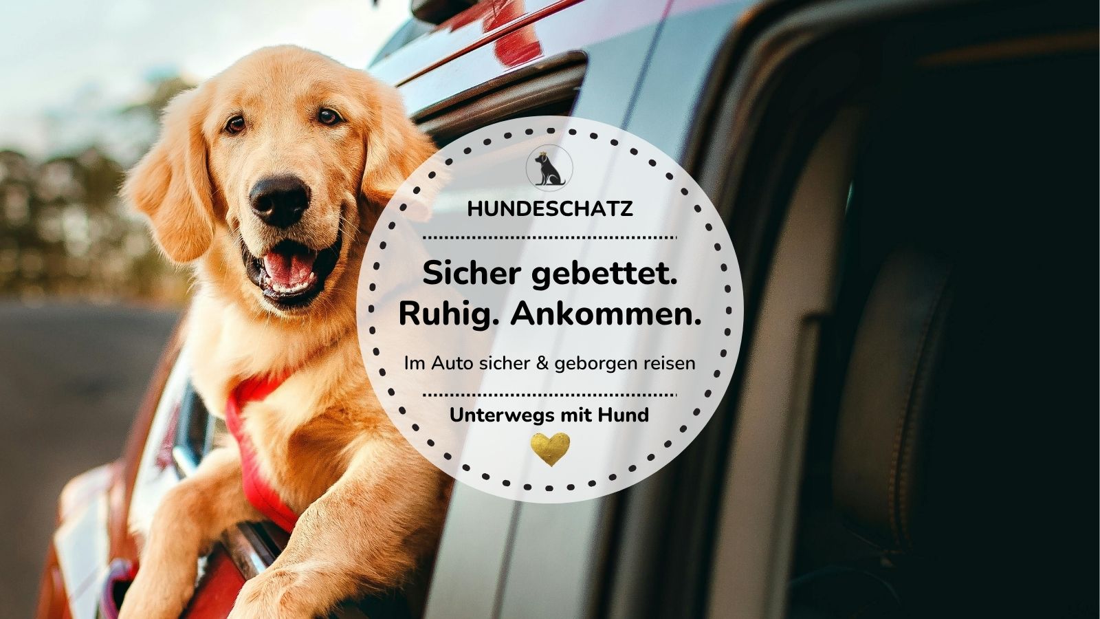 Sicher gebettet im Auto: So reist dein Hund entspannt mit