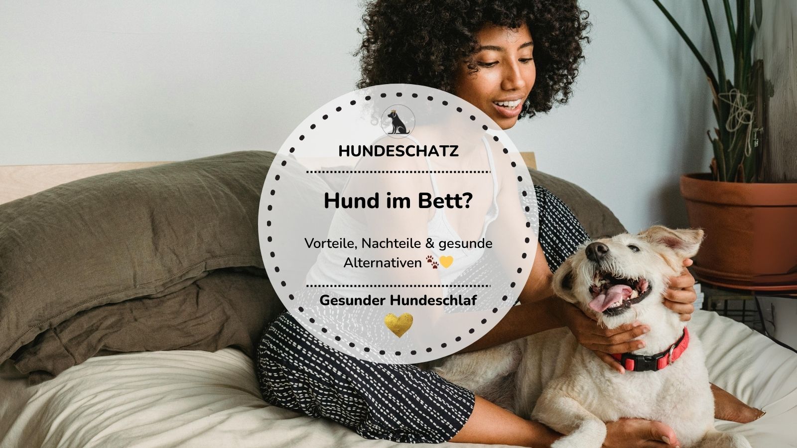 Frau spielt mit Hund auf dem Bett – Hund im Bett: Rangordnung, Vor- und Nachteile sowie Alternativen – HUNDESCHATZ