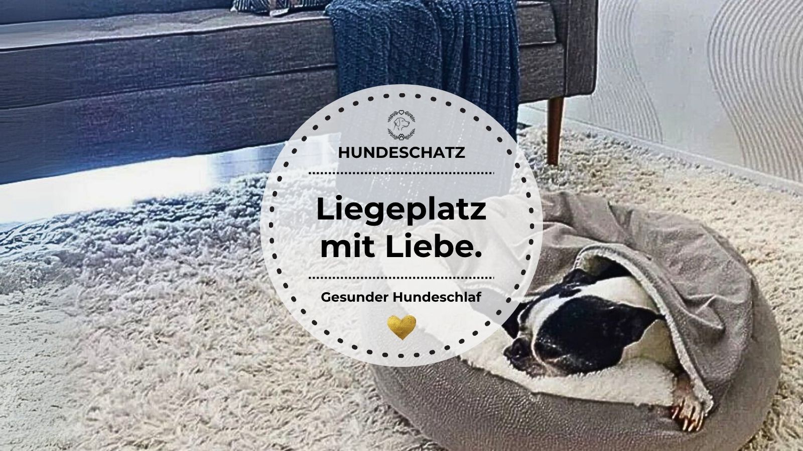Hund liegt entspannt in einem modernen Hundebett – Tipps zum Hundebett kaufen | HUNDESCHATZ