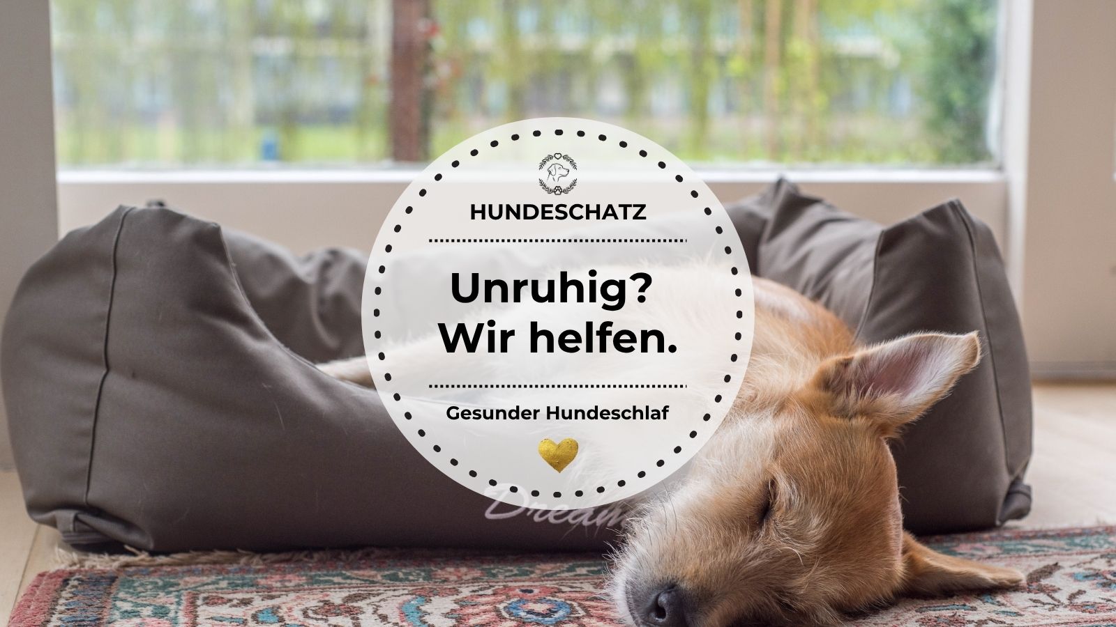 Ein Hund liegt übermüdet im Körbchen – thematisiert Schlafprobleme bei Hunden.
