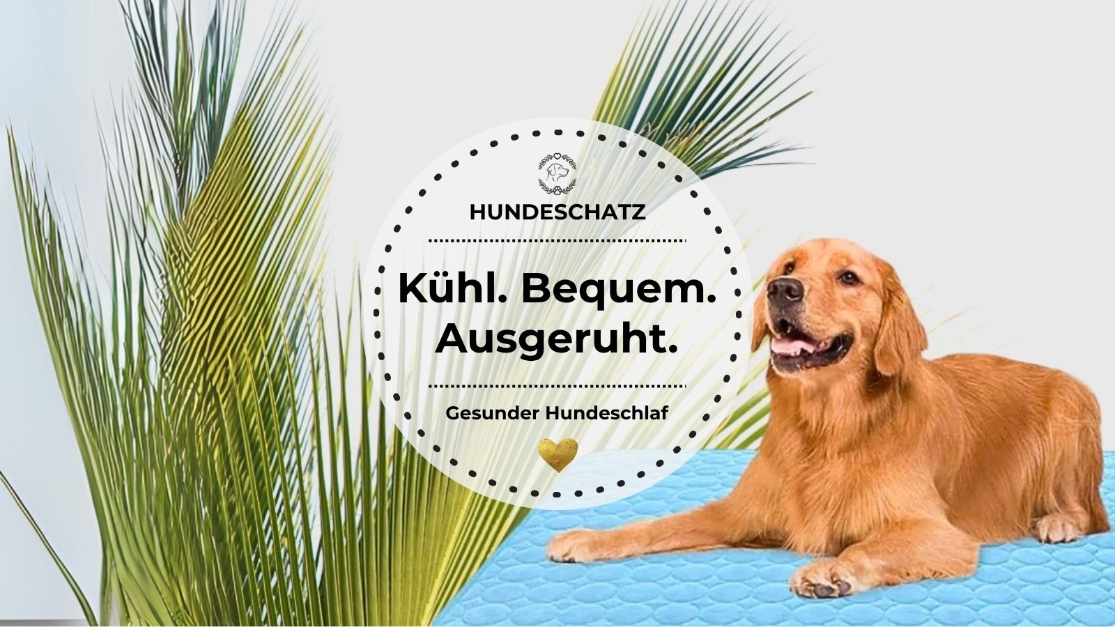Ein Hund liegt entspannt auf einer blauen Kühlmatte – perfekt für heiße Sommertage.