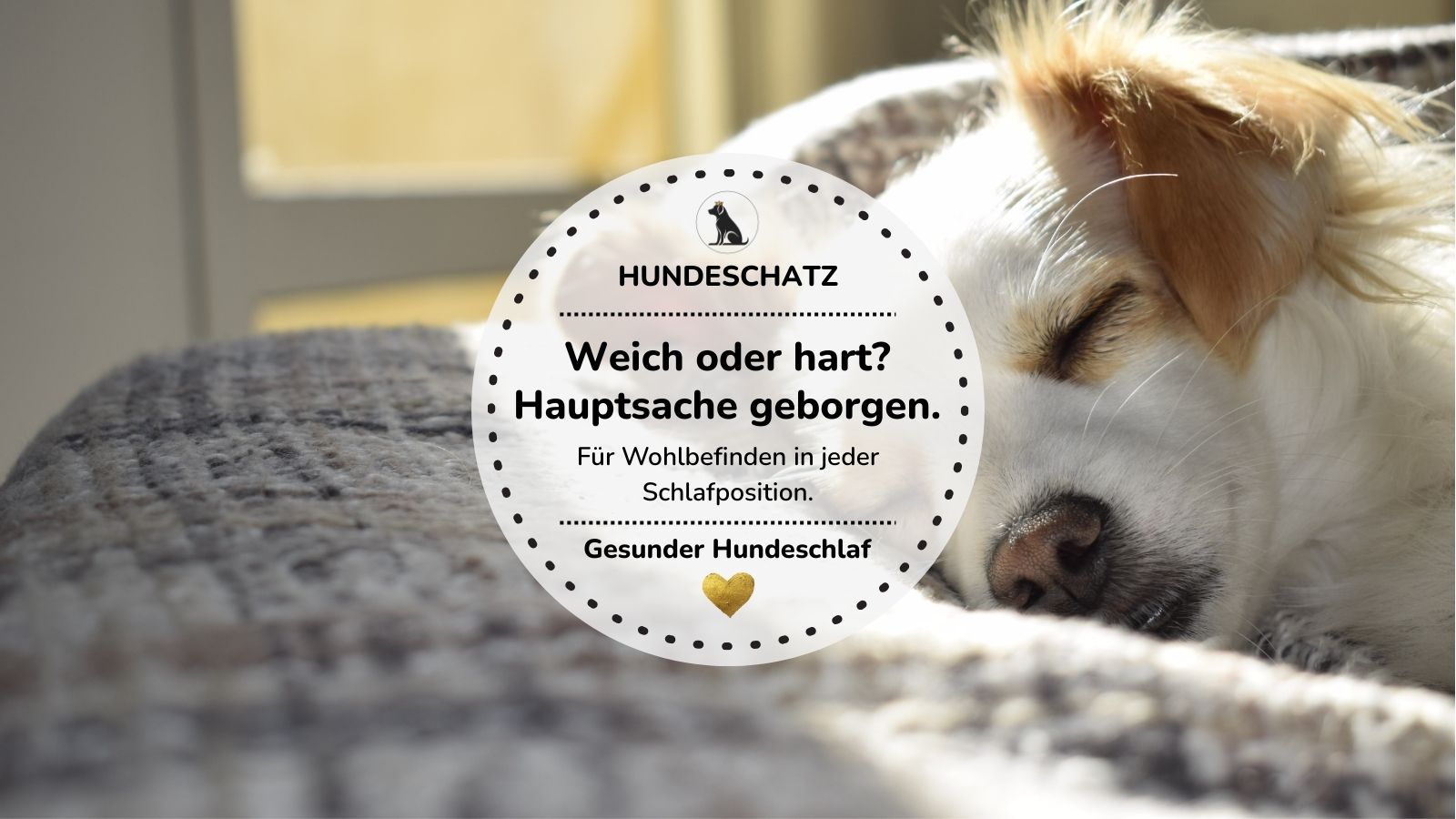 Soll ein Hund hart oder weich schlafen?