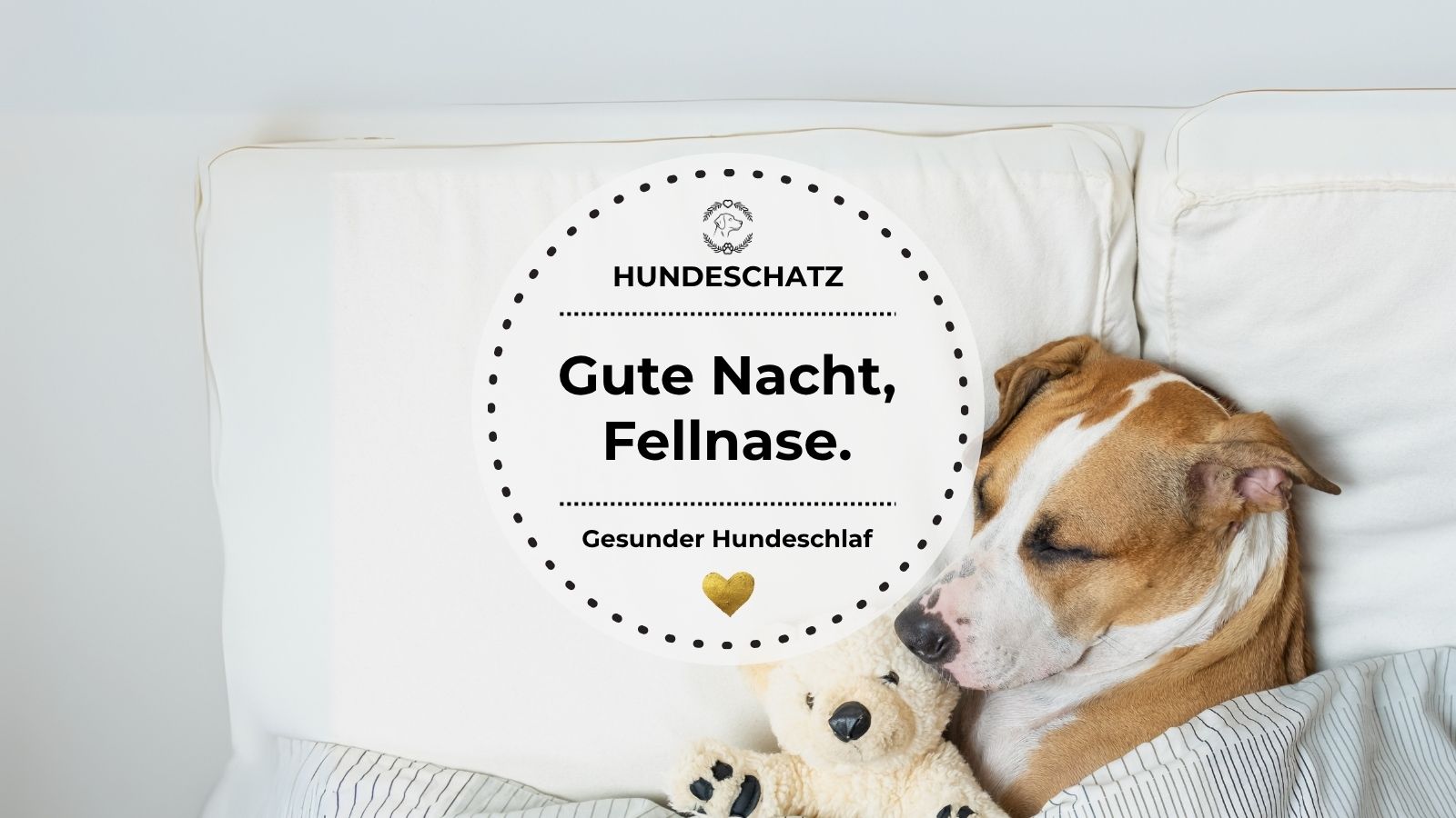 Ein Hund schläft eingerollt im Bett mit einem Kuscheltier – zeigt Geborgenheit und Ruhe.