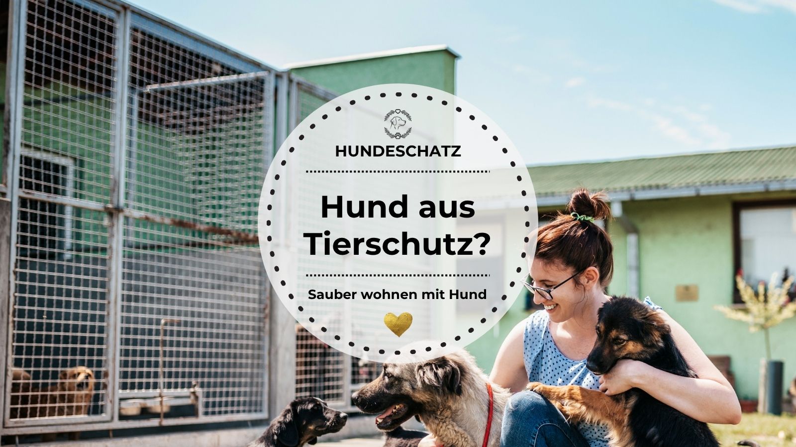 Ein neues Zuhause für einen Hund aus dem Tierschutz – was jetzt wichtig ist