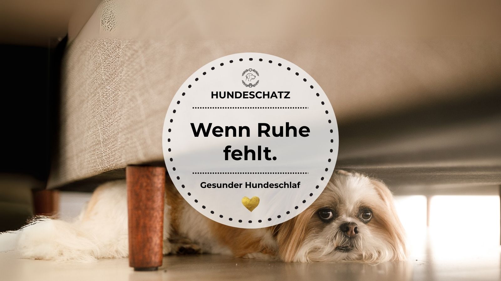 Ein Hund liegt unter dem Bett und blickt wachsam hervor – Symbol für unruhigen Schlaf.
