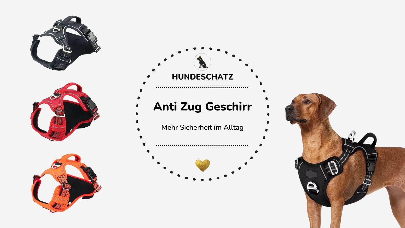 Warum viele Anti Zieh Geschirre nicht funktionieren – und was Hundehalter endlich wissen müssen