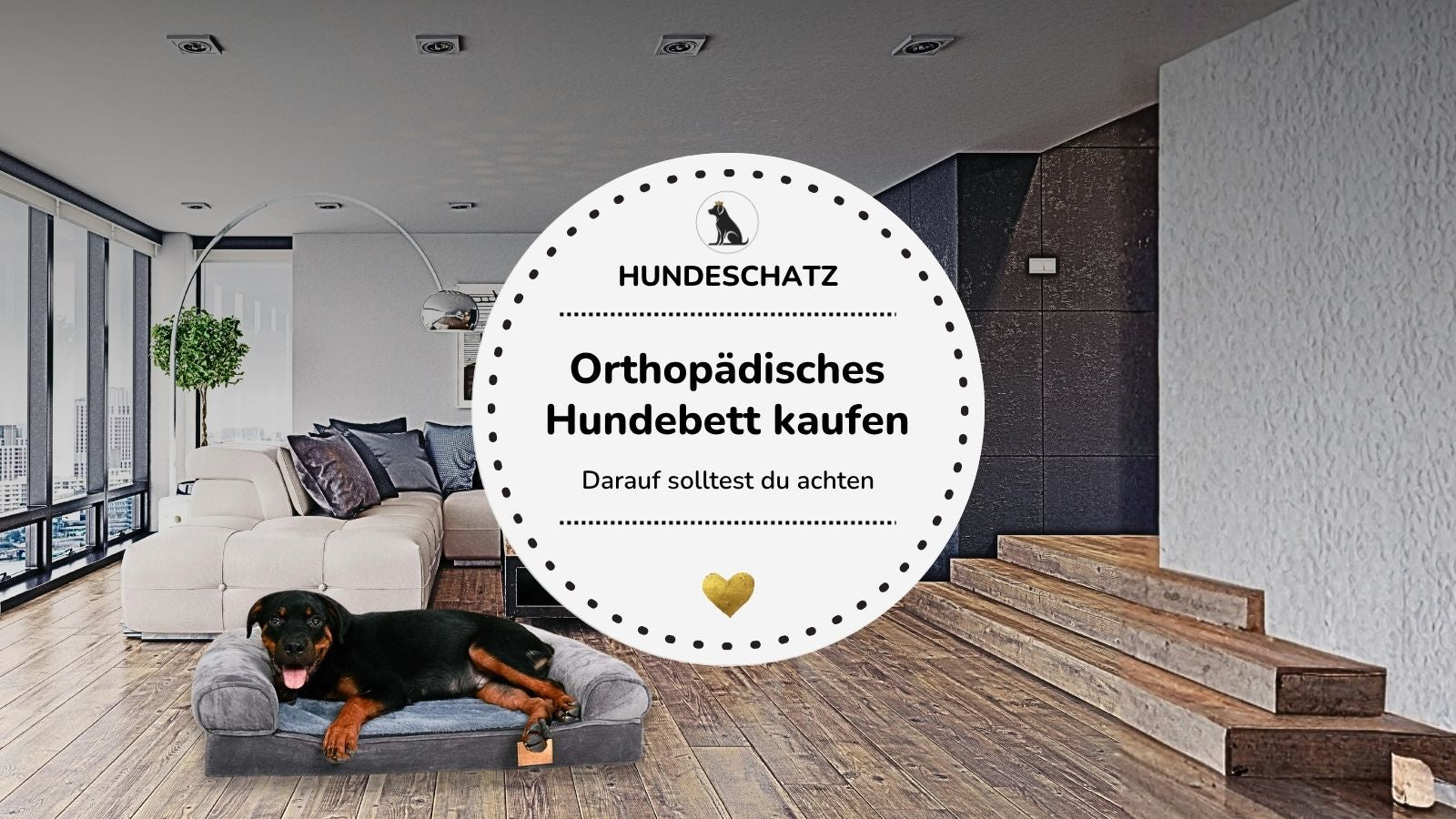 Orthopädisches Hundebett kaufen: Die häufigsten Fehler – und wie dein Hund endlich besser schläft