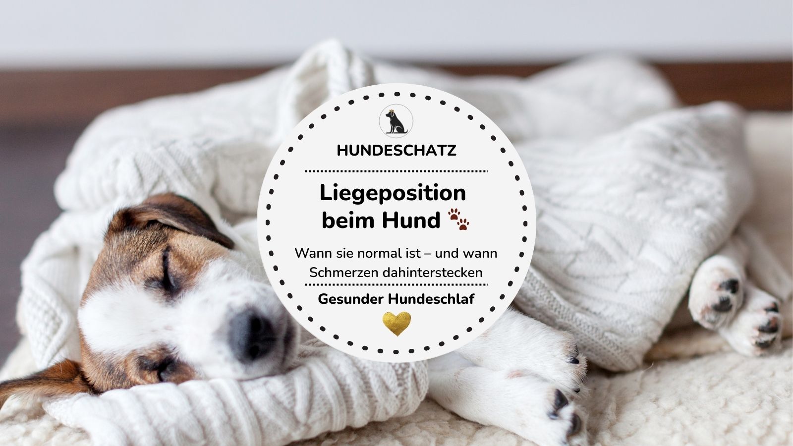 Liegeposition Hund: So erkennst du, ob Schmerzen dahinterstecken