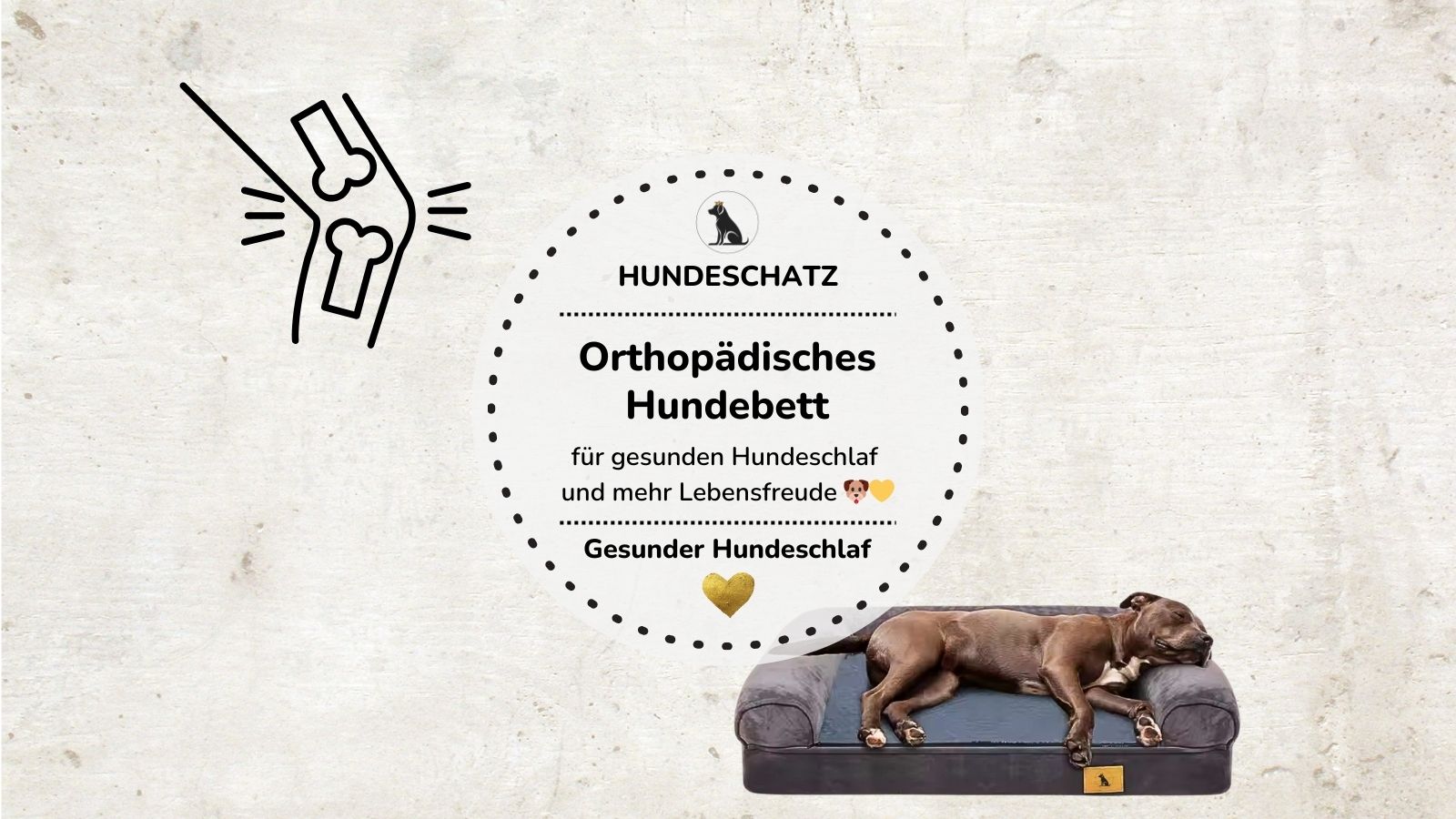 Was bringt ein orthopädisches Hundebett?