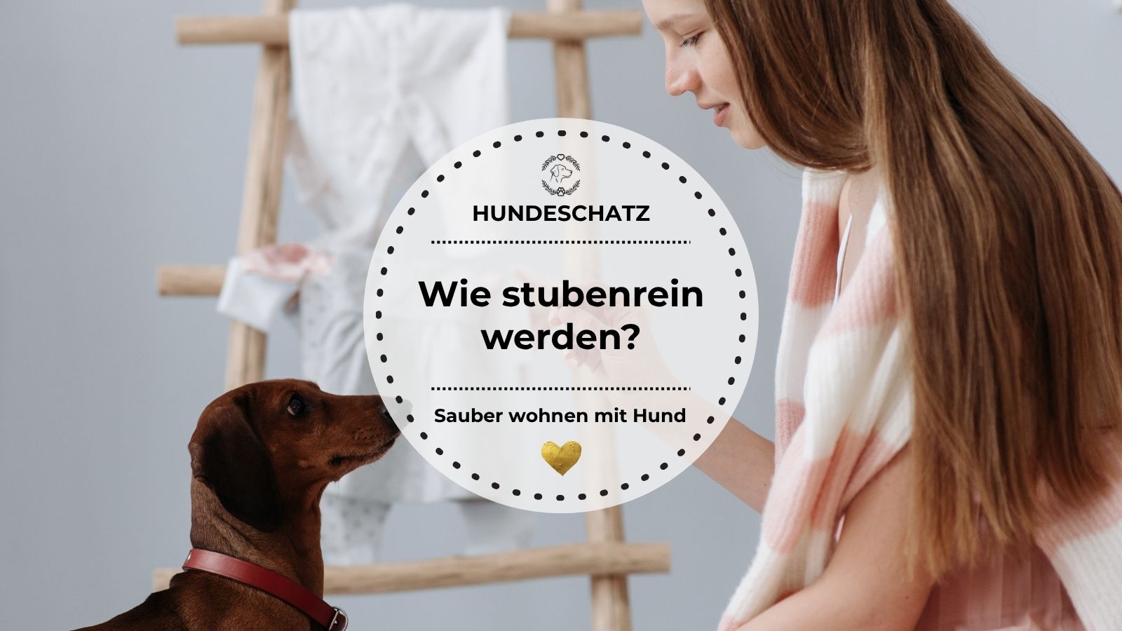 Ein Dackel schaut zu seiner Besitzerin auf – Thema Stubenreinheit und Welpenerziehung.