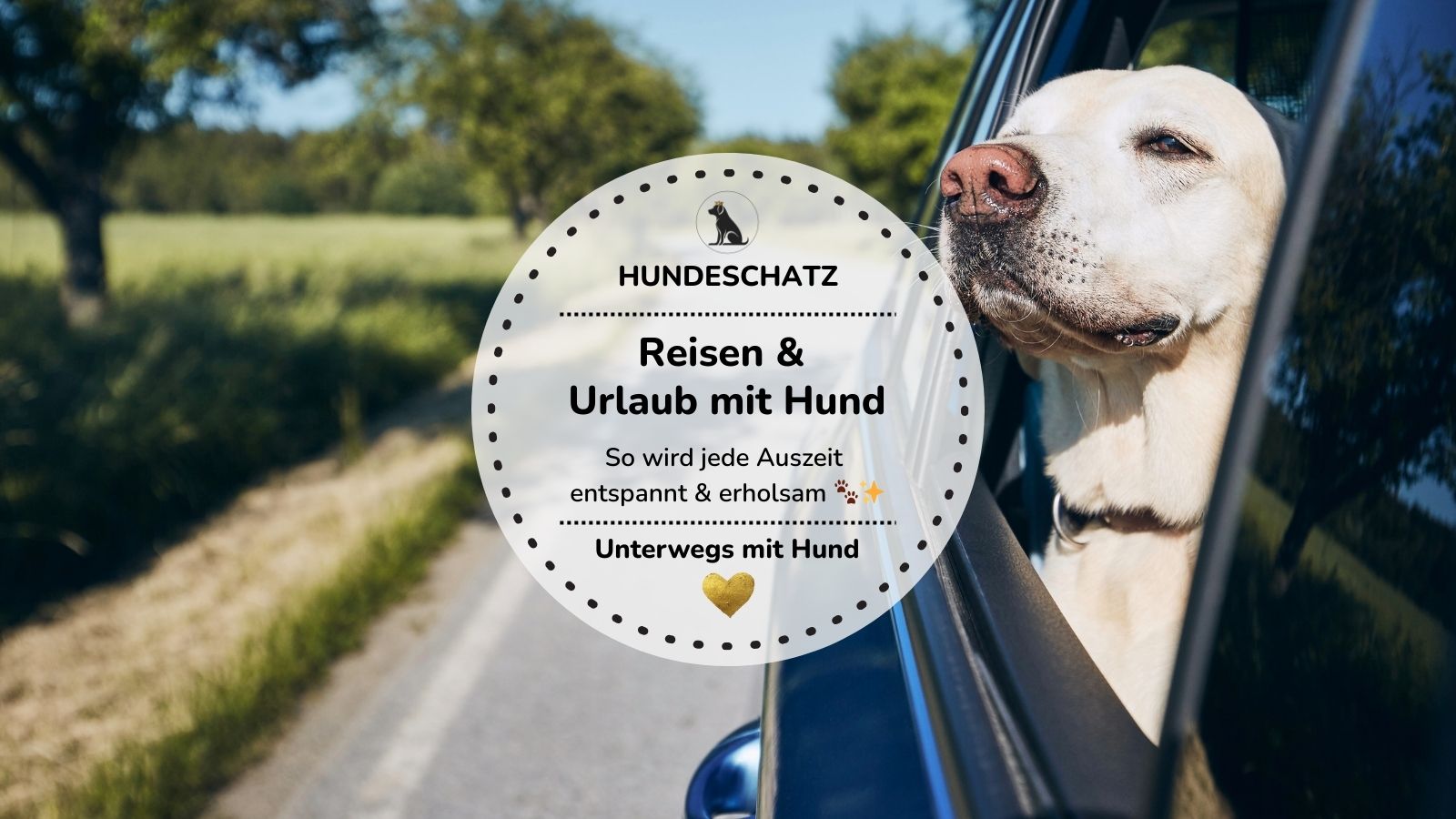 Reisen & Urlaub mit Hund – so wird jede Reise entspannt & erholsam