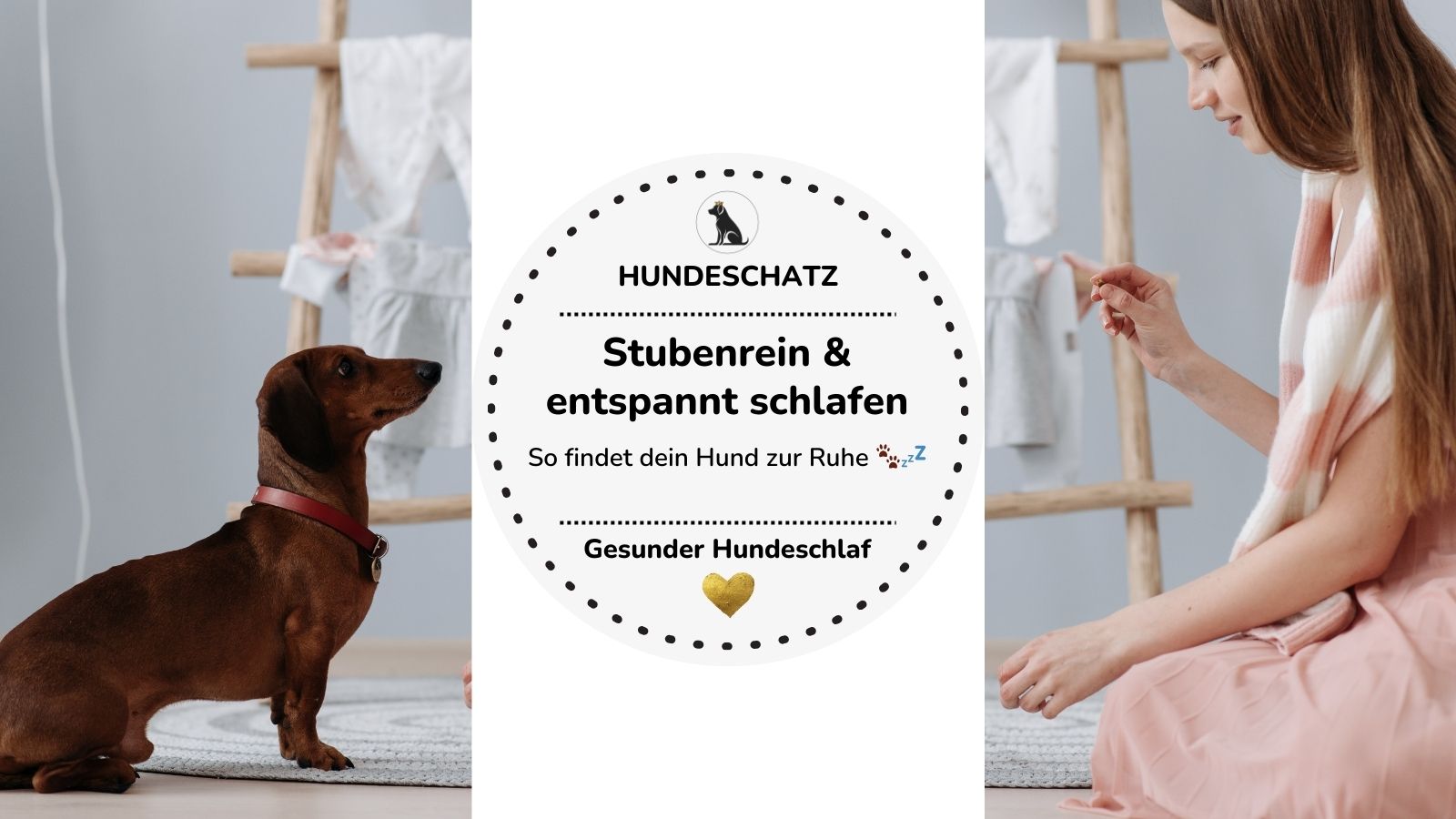 So wird dein Hund stubenrein – mit Schlafrhythmus & Routine