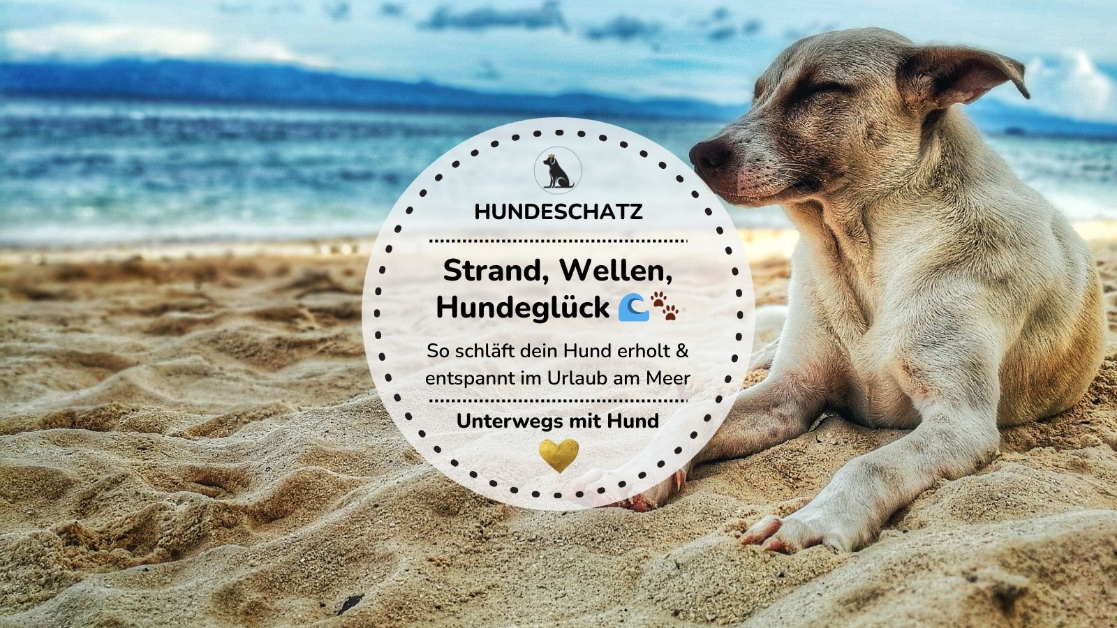 Urlaub mit Hund am Meer: Tipps für erholsamen Schlaf & entspannte Tage