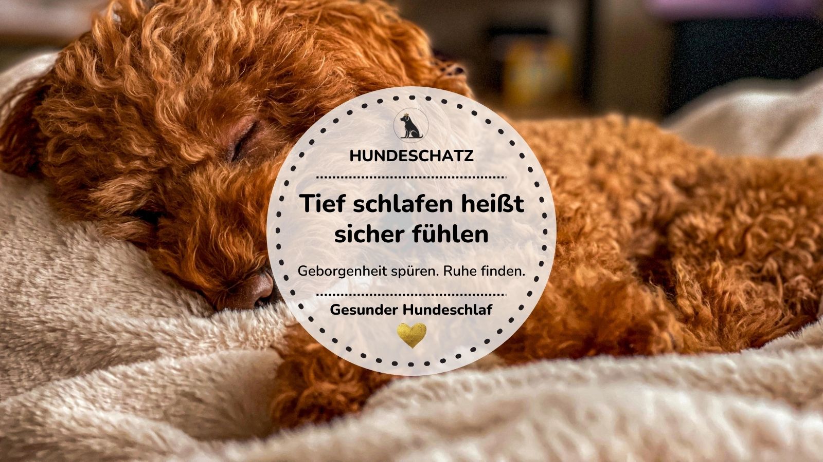 Warum Hunde so viel schlafen – und was du daraus für ihre Gesundheit lernen kannst