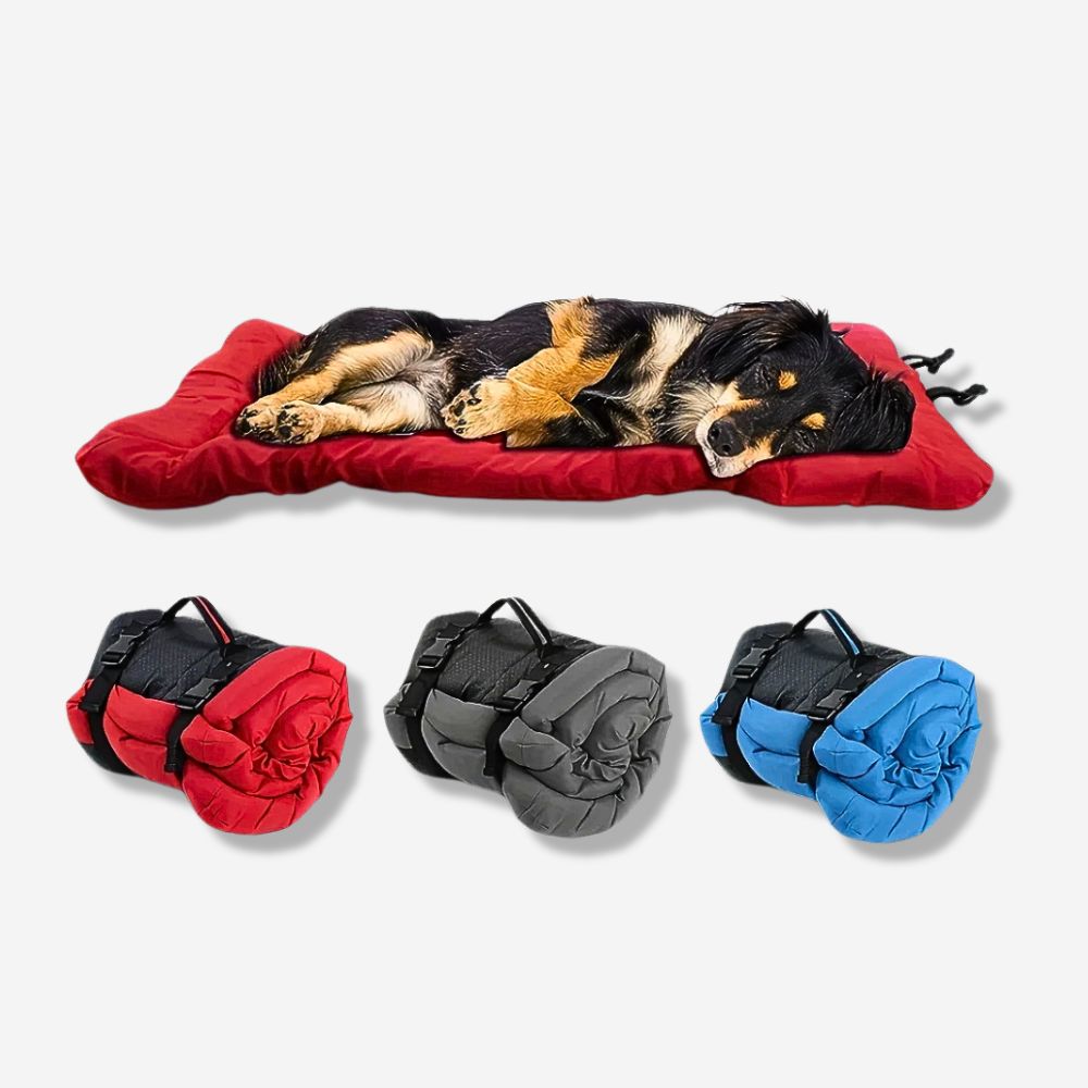 Faltbare Outdoor Hundematte „Explorer“ - HUNDESCHATZ