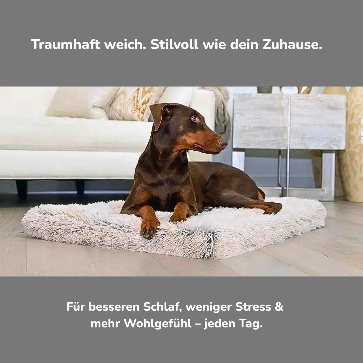 Premium Hundekissen – Wolkenweich – HUNDESCHATZ™