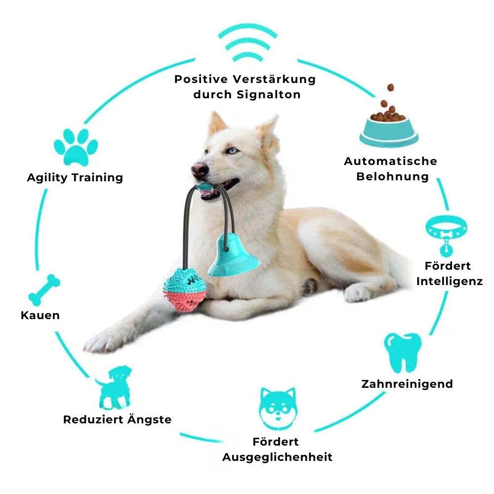 HUNDESCHATZ™ - AGILITY BALL - Vorteile und Eigenschaften