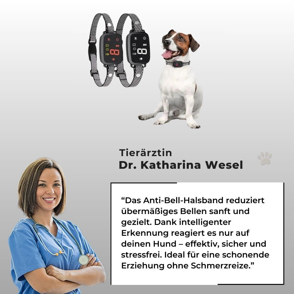 Tierärztin Dr. Katharina Wesel empfiehlt das Anti-Bell-Halsband – sanfte und sichere Erziehung für Hunde ohne Schmerzreize. Hund mit Anti-Bell-Halsband und Produktabbildung.